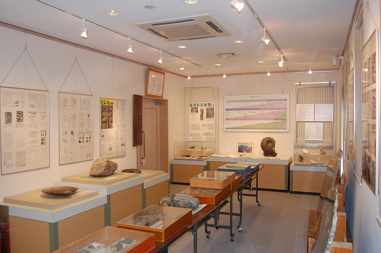 戸台の化石資料館