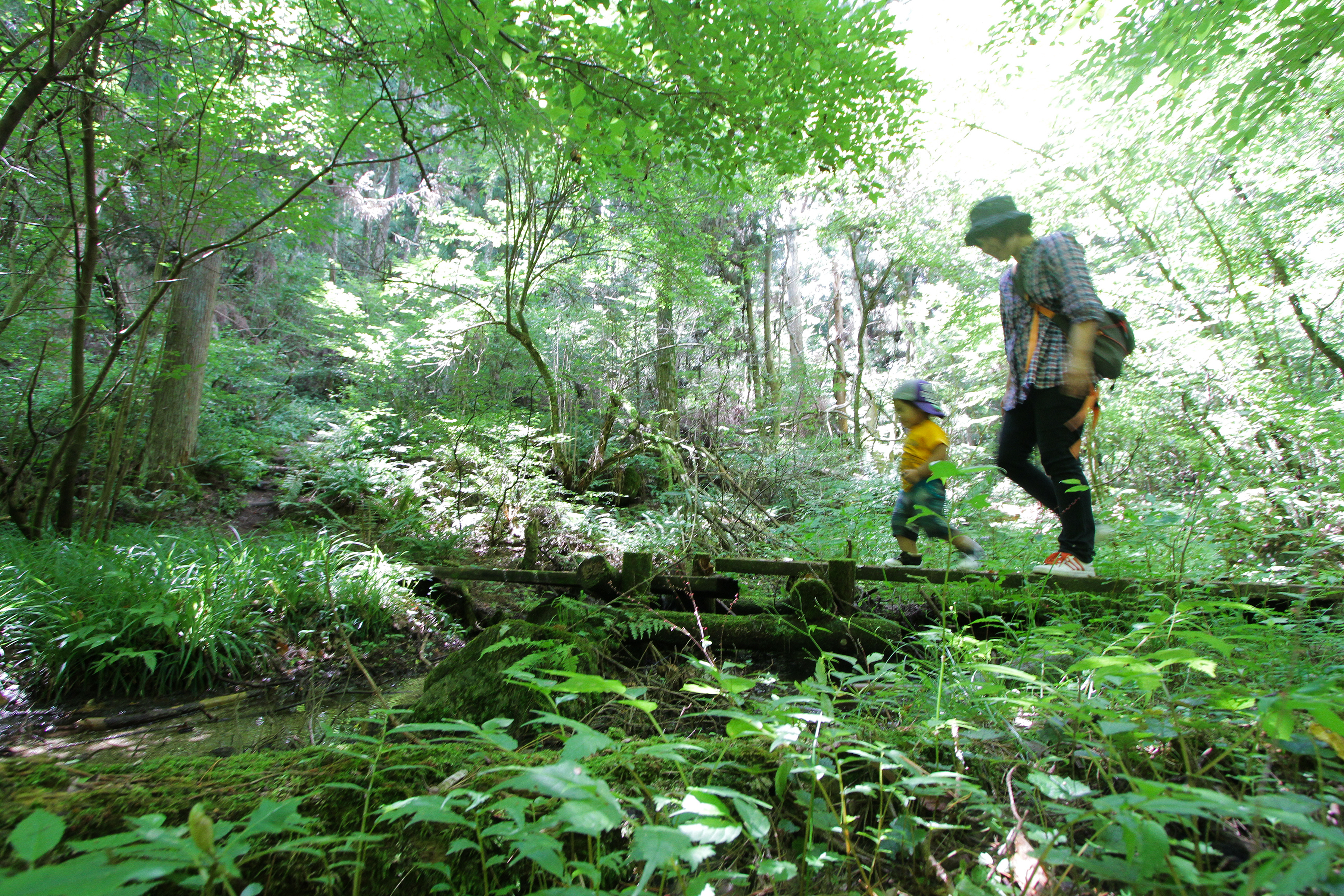 森林セラピー認定基地まつかわの里 およりての森 | 山と川 | 自然 | トリップアイデア | Go NAGANO 長野県公式観光サイト