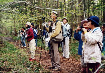 茶臼山自然園あてび平小鳥の森