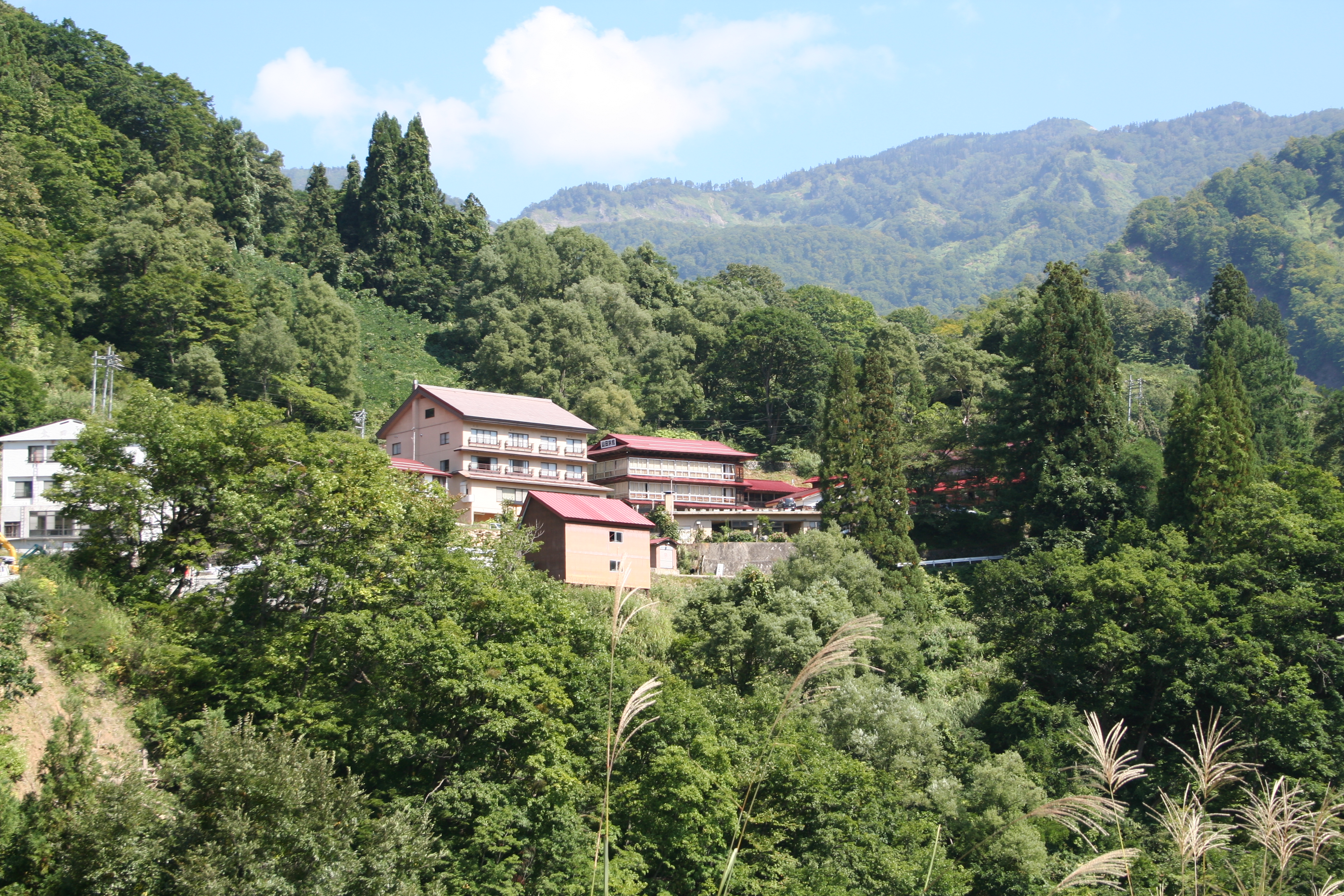 開湯以来、約450年の歴史を持つ山田旅館。