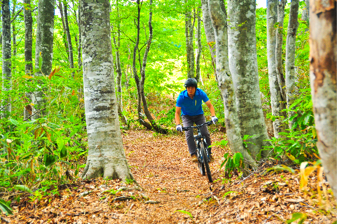 Mountain Bike Tours & Rental in Hakuba Valley