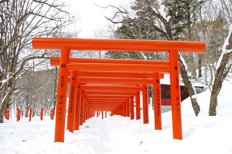 Snowshoeing Around the Shrines of Togakushi | Nature Observation ...