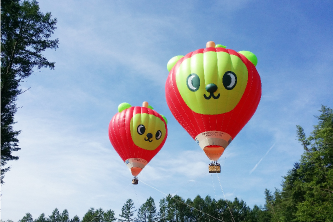 Hot Air Balloon Ride in Azumino