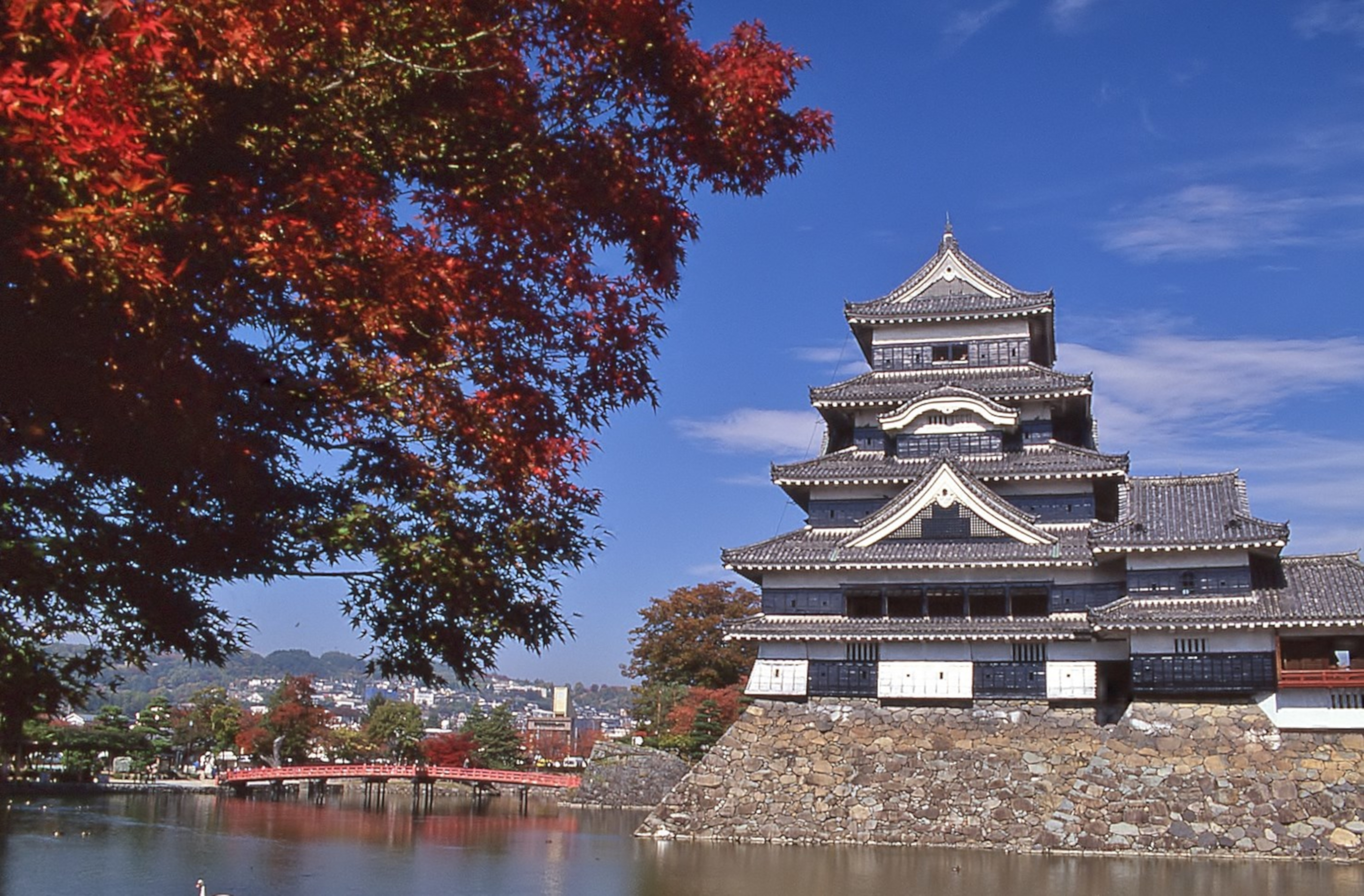 松本城の紅葉