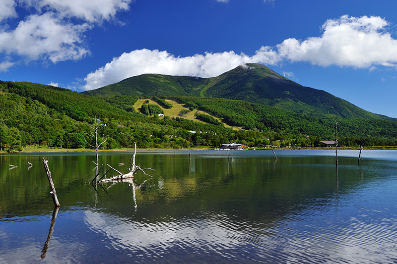 蓼科山　白樺湖油彩F4号