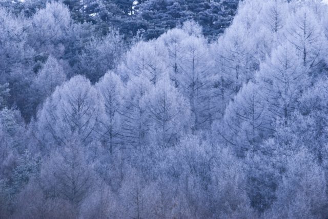 Beautiful Winter Phenomena