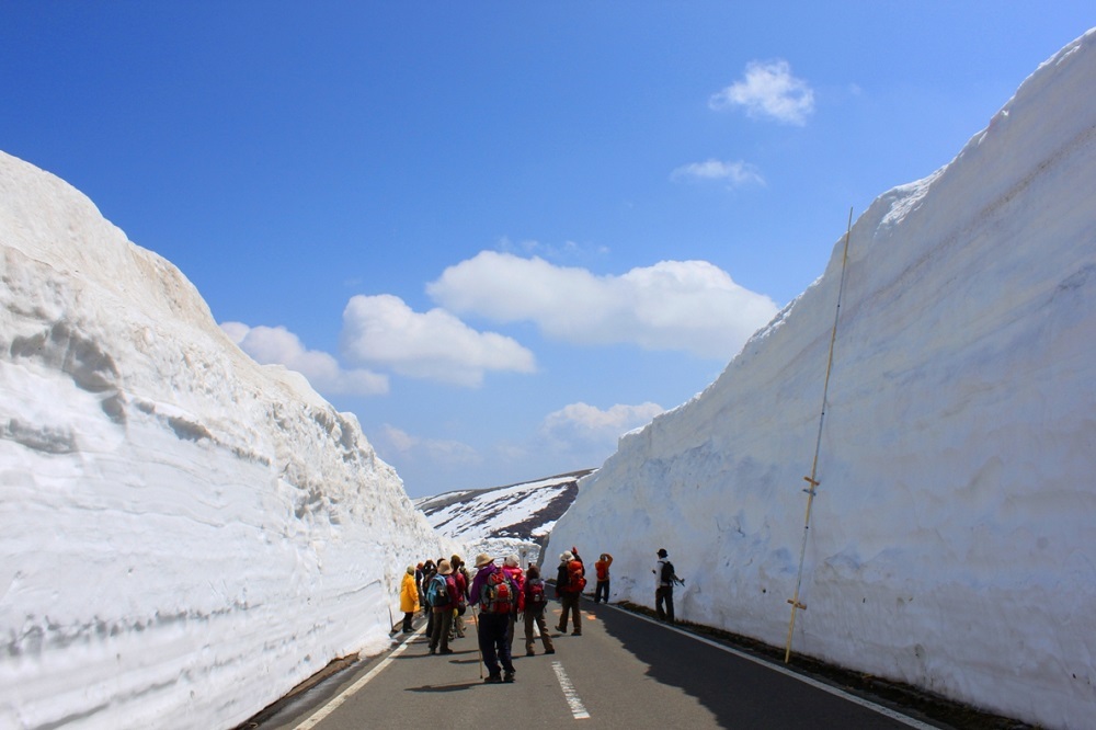 第20回 志賀草津高原ルート 雪の回廊ウォーキング