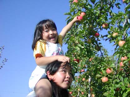 กิจกรรมเก็บผักและผลไม้ (Habiro Farming Park: Miharashi Farm)