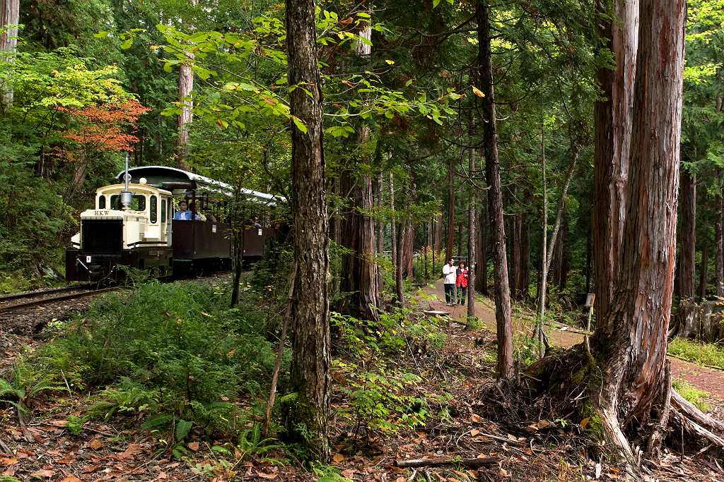 สวนป่า Akasawa Natural Recreational Forest และทางรถไฟขนซุงสายเก่า