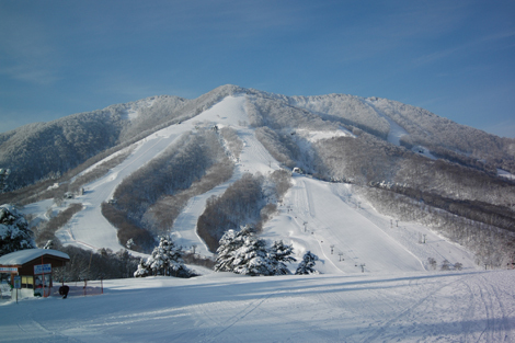 斑尾高原滑雪场
