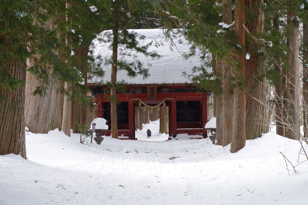 เดินลุยหิมะรอบ ๆ ศาลเจ้า Togakushi