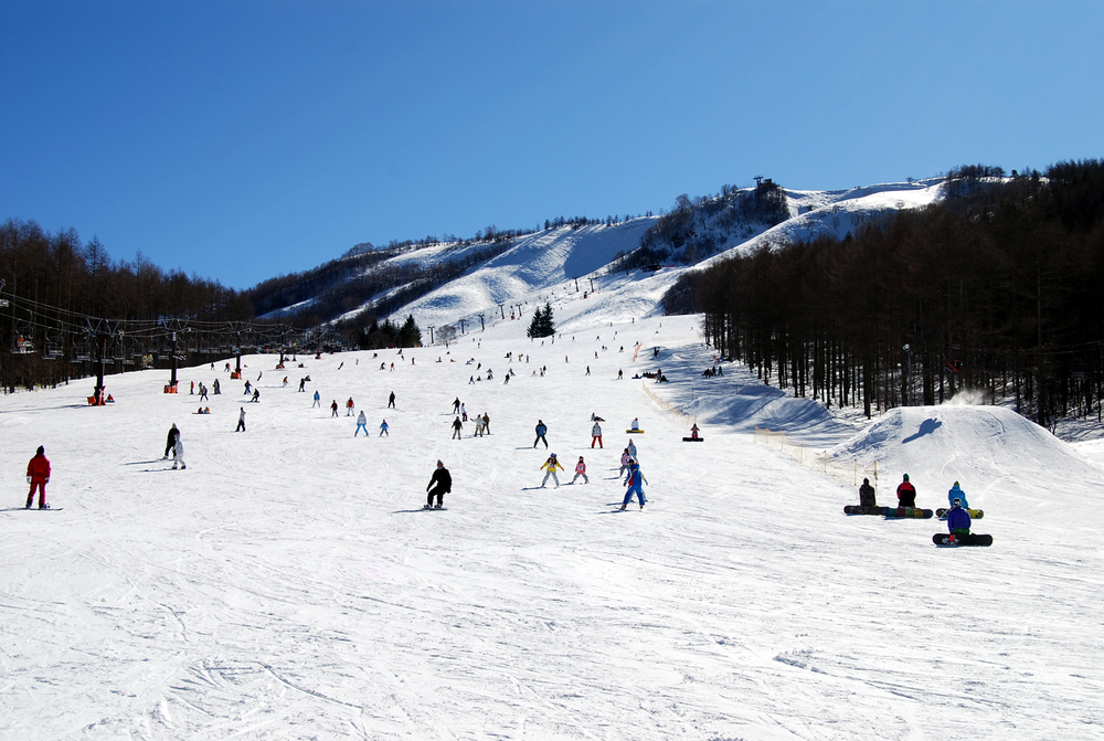 長野県のスキー場　ビーナスライン・八ヶ岳エリア