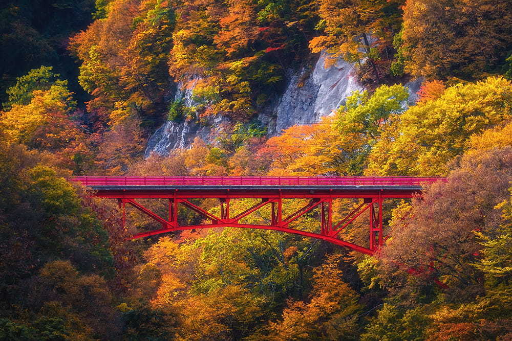 清流と峡谷、紅葉が織りなす
美しき秋を旅する