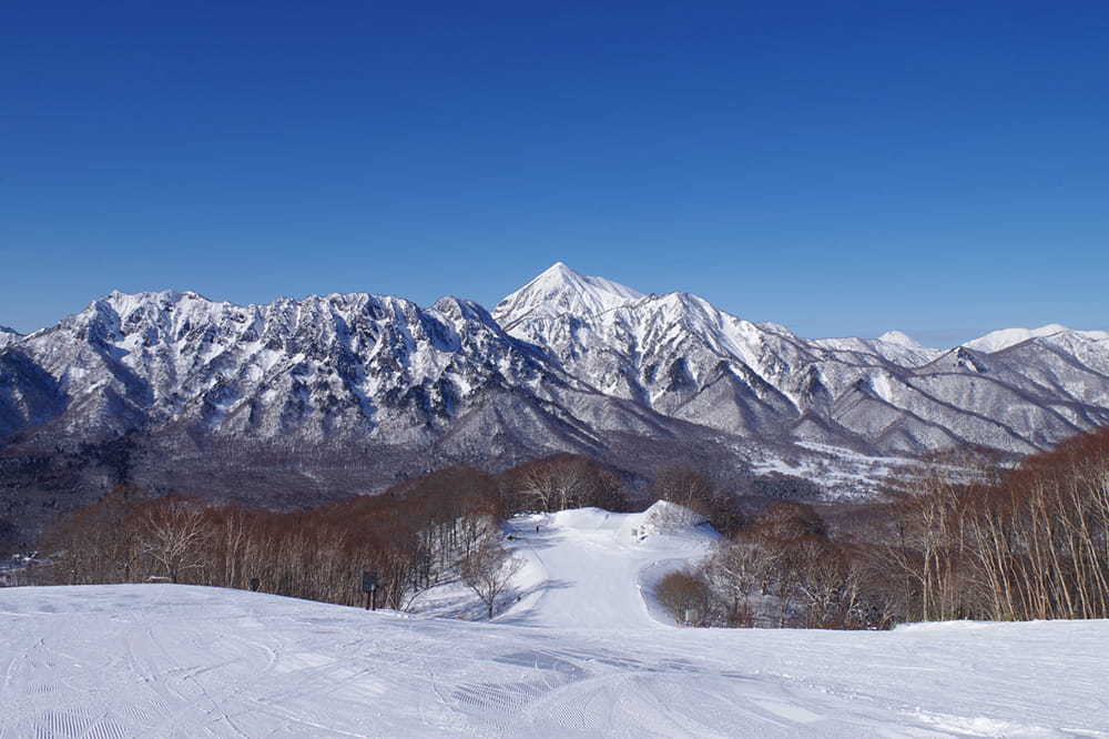อีเวนต์และกิจกรรมฤดูหนาวของ Nagano