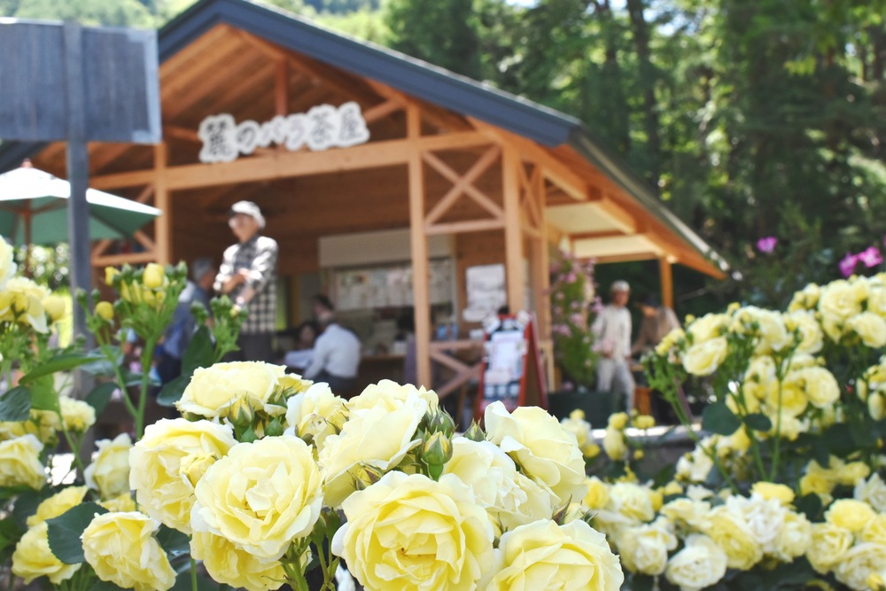 高遠 しんわの丘ローズガーデン 花と植物 自然 トリップアイデア Go Nagano 長野県公式観光サイト