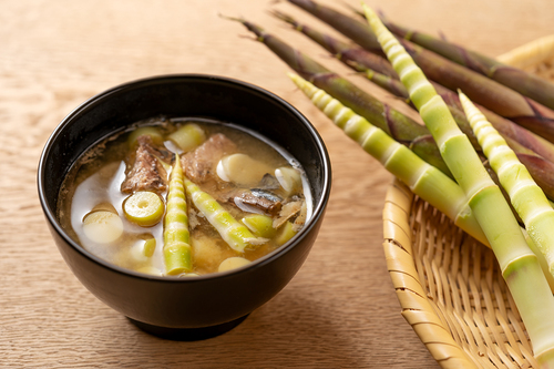 初夏の味の根曲がり竹 長野県ではサバ缶と一緒に お味噌汁でいただきます