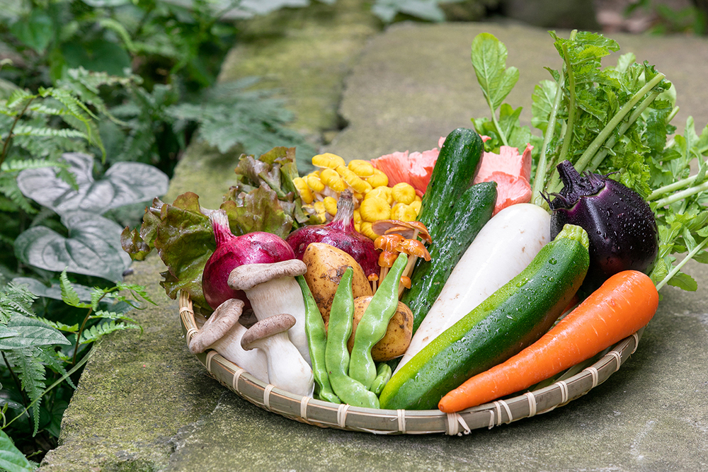 おいしさと安心と。有機野菜の宅配便を長野県からお届け