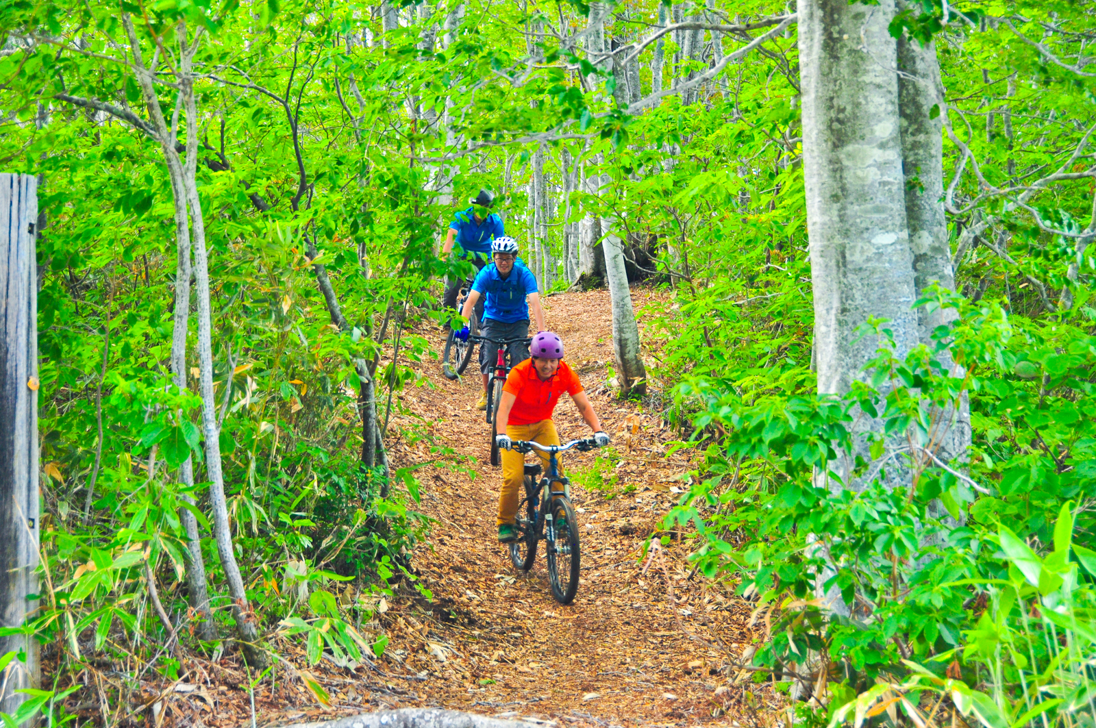 beginners downhill mountain bike