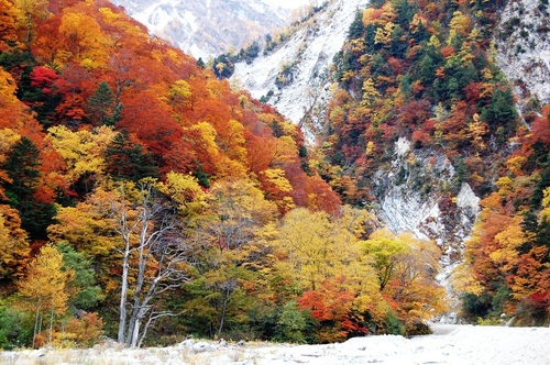 Nagano&#039;s Hidden Autumn Sightseeing Spots