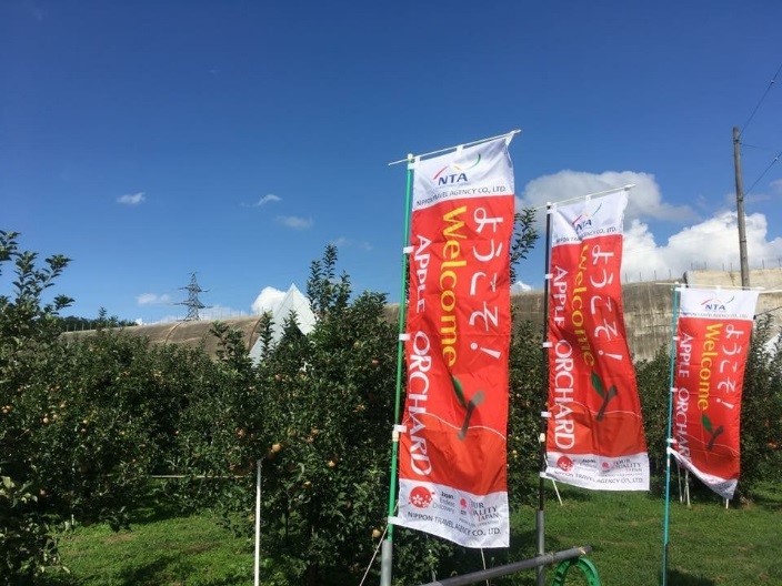 Apple-picking at NTA Farm