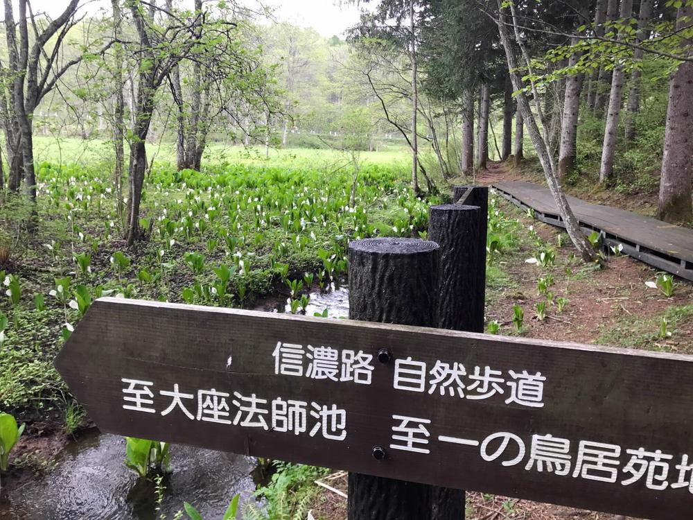 信濃路自然歩道 | _トレッキング | _登山・トレッキング・クライミング・ボルダリング | トリップアイデア | Go NAGANO 長野県