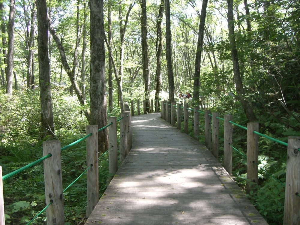 戸隠森林植物園・鏡池ハイキングコース