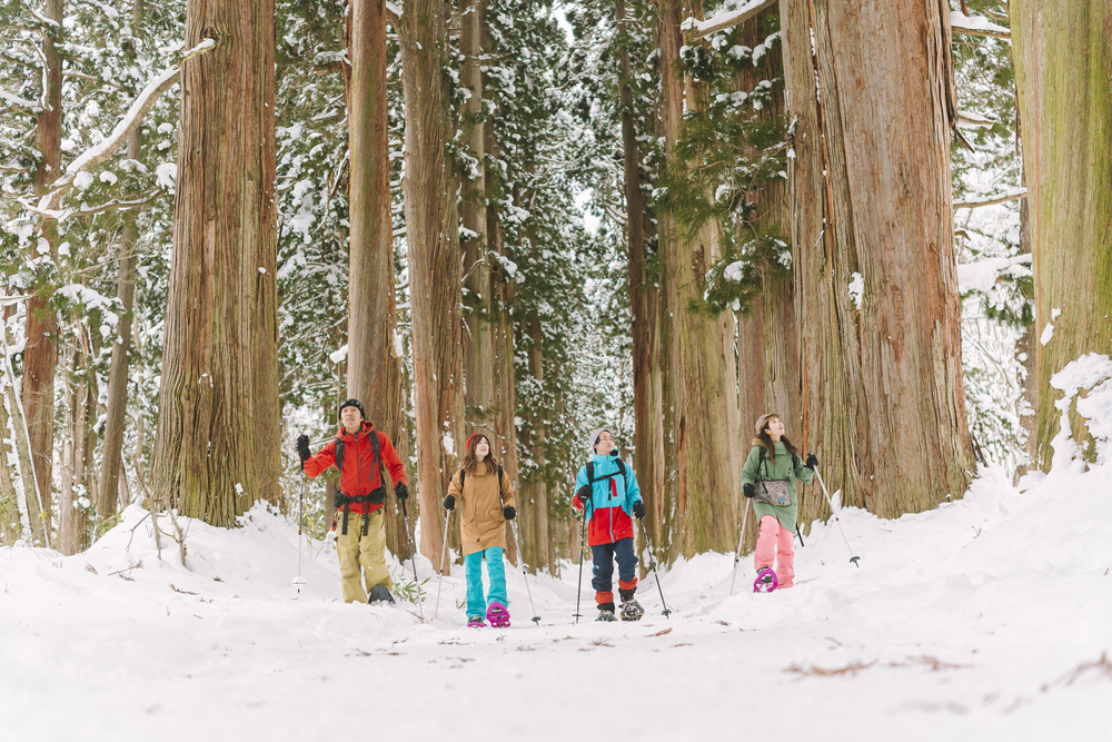 Togakushi Snowshoeing with Guesthouse Lamp