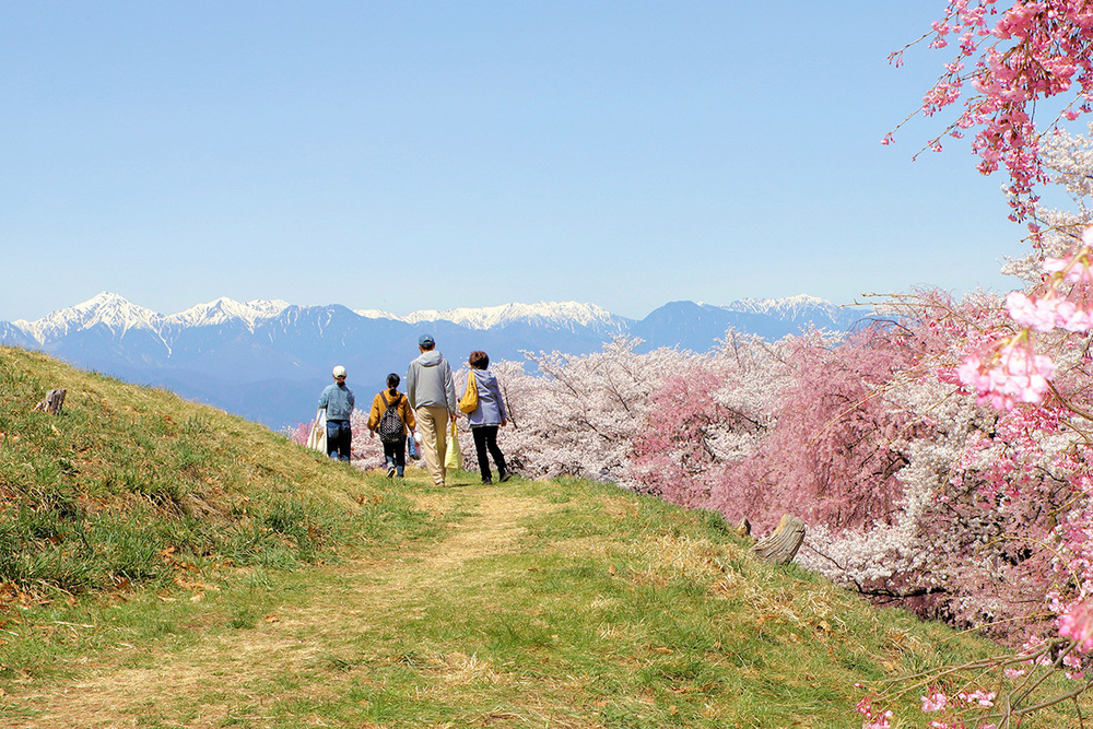 土の匂い、水の音。里から山へ、つぎつぎに咲く長野県の春の花
