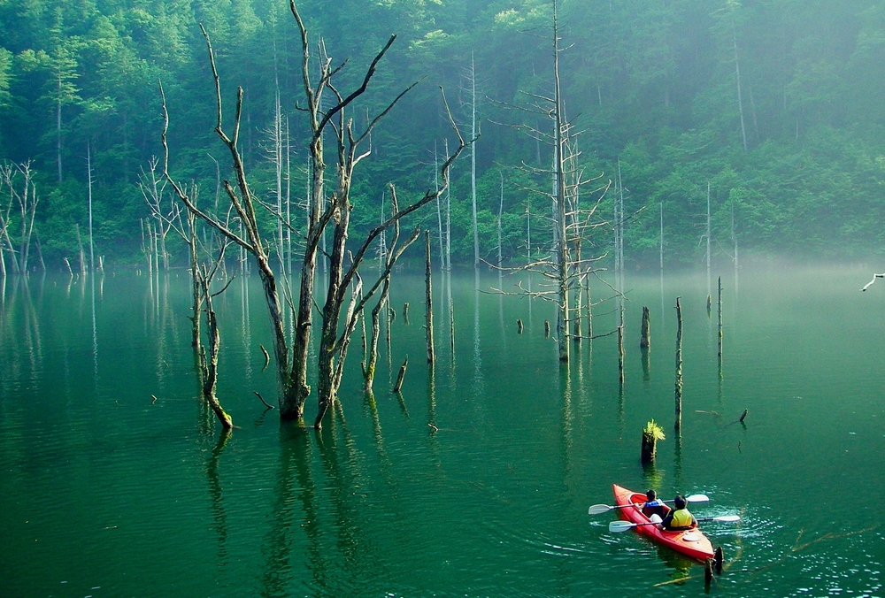 自然湖カヌー1