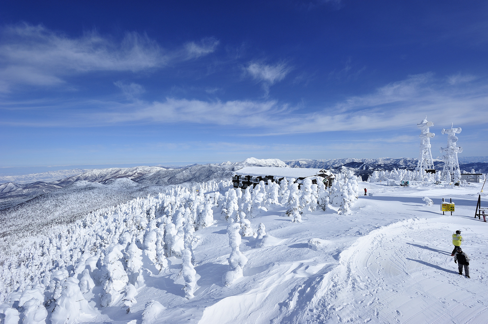 鬆軟的粉雪雪質 長野頂級滑雪勝地