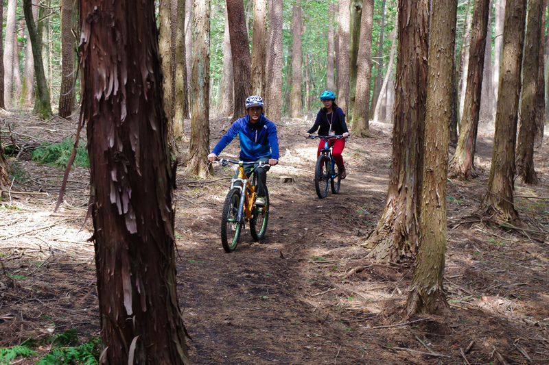 C.A.B. Trail Mountain Bike Course (at Miharashi Farm)