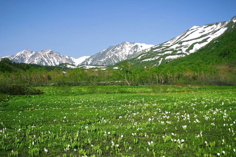 Tsugaike Nature Park