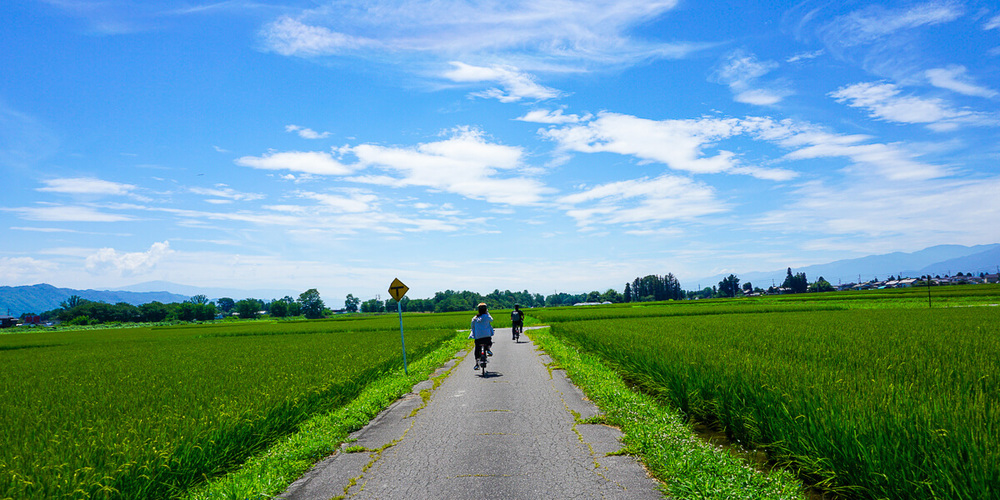 简直走入龙猫场景！长野县安昙野，日式乡村风景的悠闲单车一日游