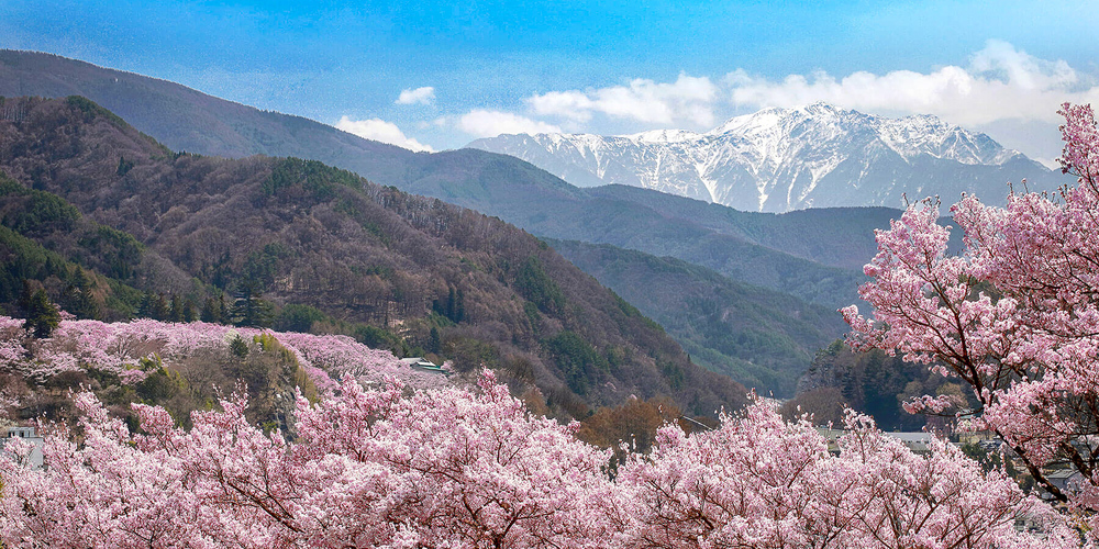 Japanese Alps LP