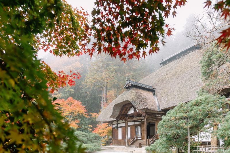 鎌倉時代には天台数学の道場として栄えた常楽寺。境内には、重要文化財に指定されている「石造多宝塔」や極楽浄土へ導くとされる松の木「御舟の松」などもあります