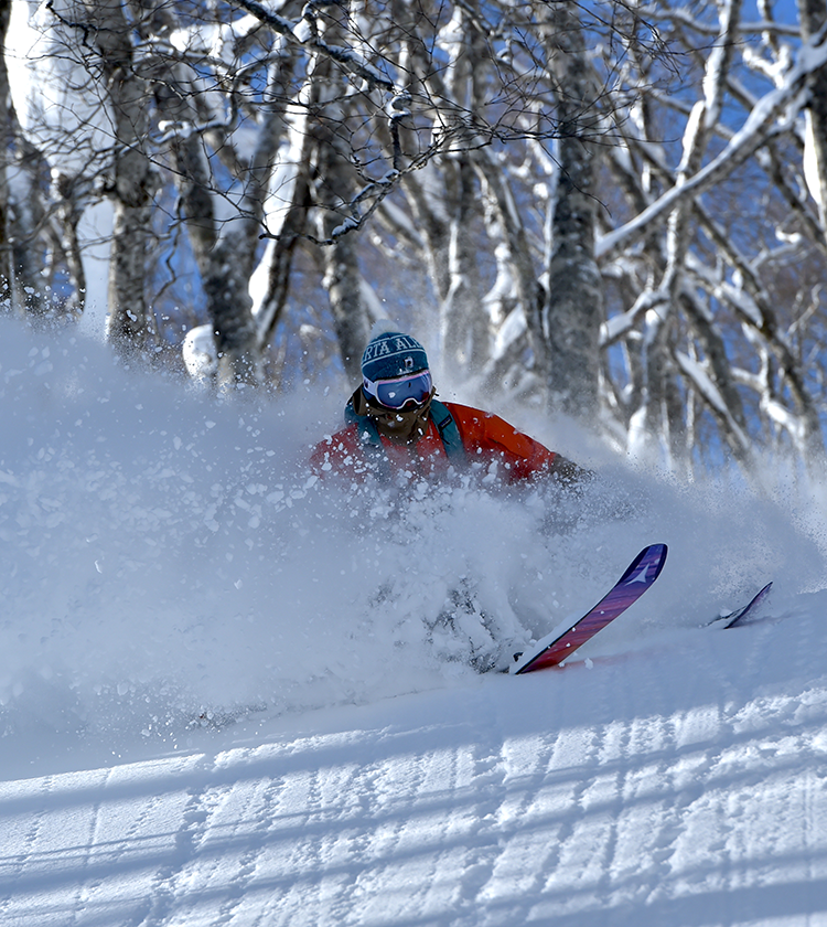 長野県 スキー リフト券 大人 2枚 - ウィンタースポーツ