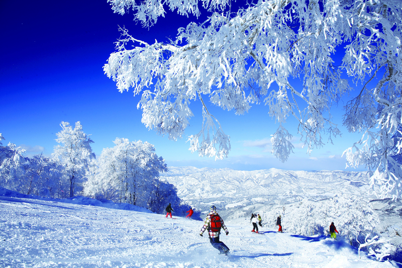Nozawa Onsen Ski Resort: Where Family Ties Past to Present