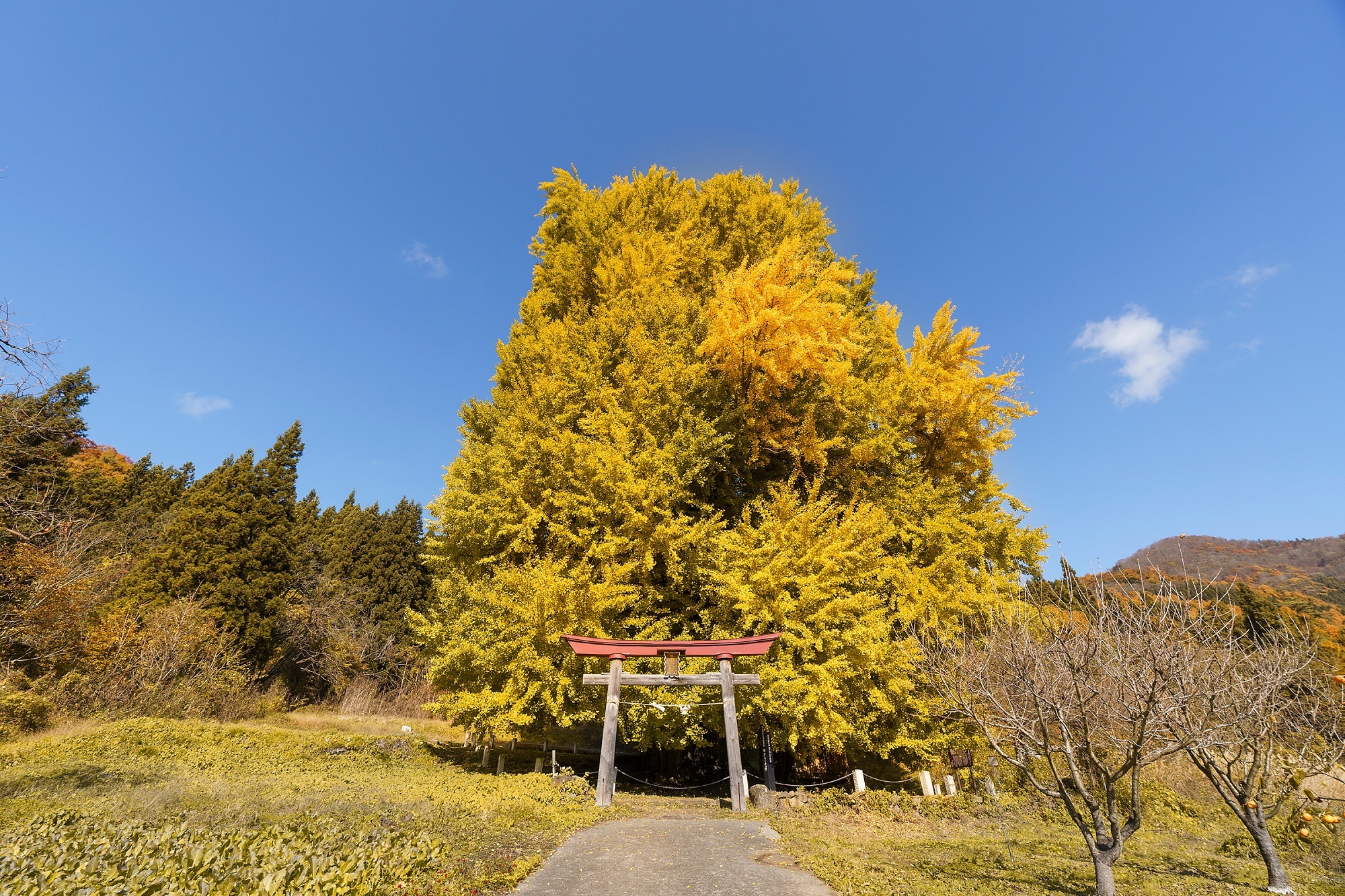 こちらは昼間の様子。昼間に見ても圧巻の存在感です。