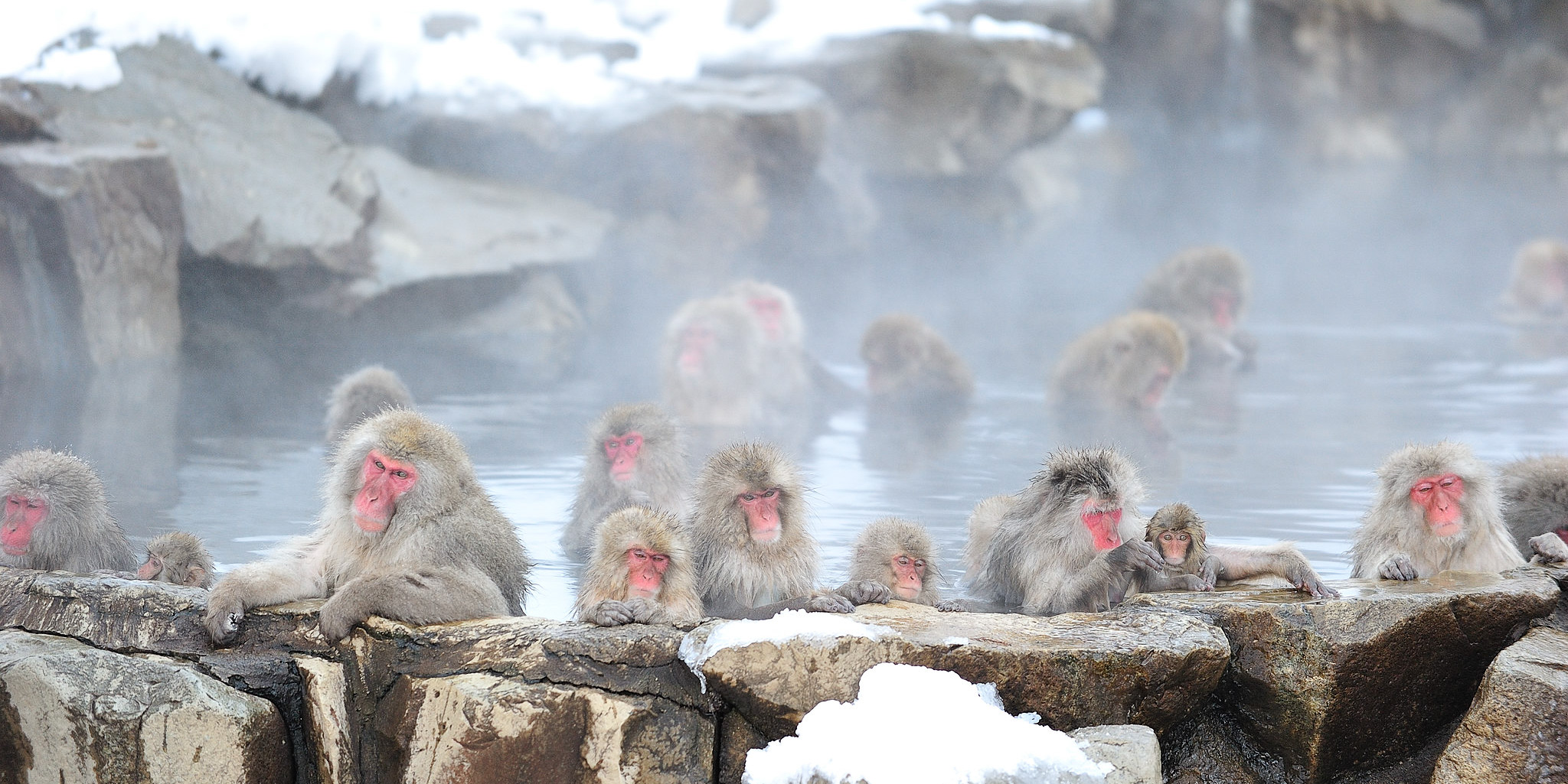 The Nakasendo