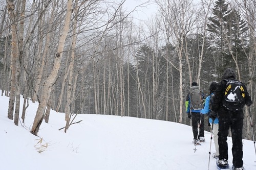 新しいジブン発見旅ー櫻井麻美さんのニチコレ（日日是好日） 第17話　雪まだ恋し。北八ヶ岳の白銀の世界へ　スノーシューで出かけよう