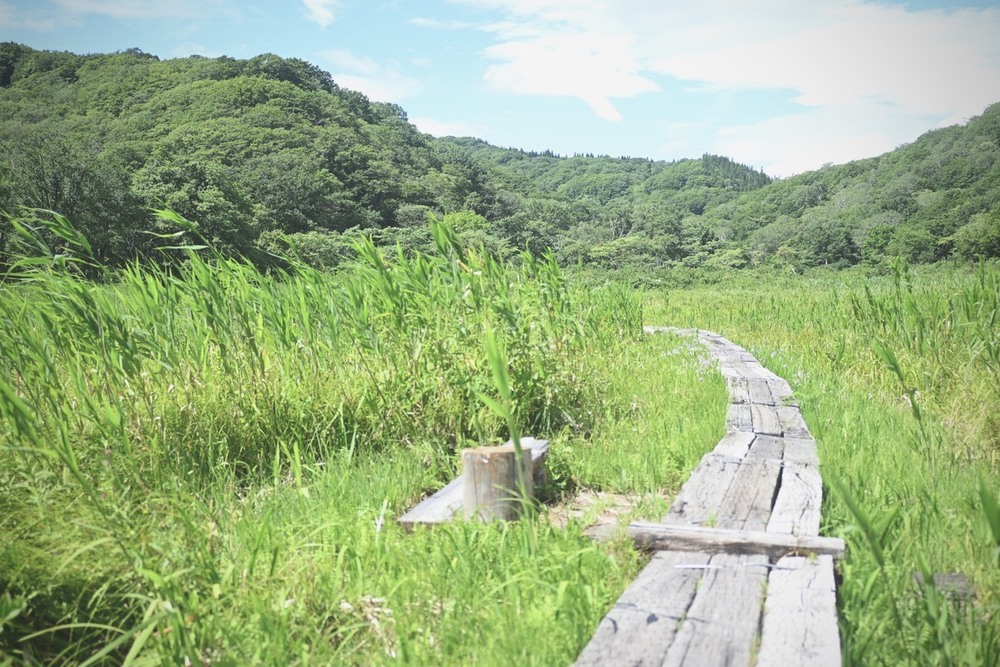 新しいジブン発見旅－櫻井麻美さんのニチコレ（日日是好日）第21話 「【連作トレッキング❶】頂上を目指さないで“歩く”ことを楽しむ　『信越トレイル』を満喫」