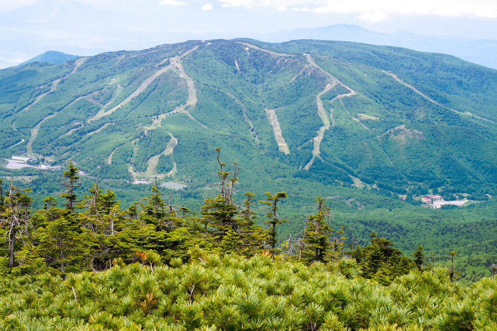 เส้นทางชมธรรมชาติและเดินป่าในที่ราบสูง Shiga Kogen