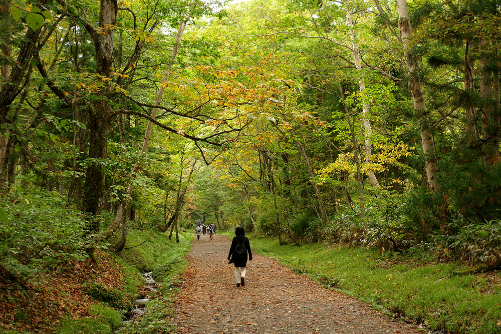 สถานที่ท่องเที่ยวทางประวัติศาสตร์และวัฒนธรรมรอบๆ อำเภอ Nagano