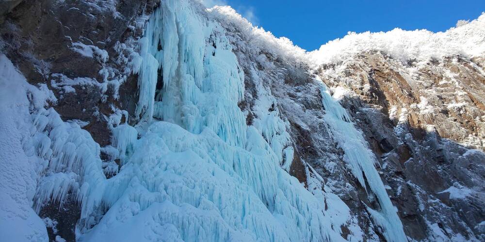 ◆午後プラン／日帰り◆　上信越国立公園 米子大氷瀑群スノーシューモニター体験