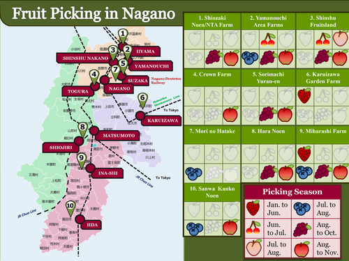 Nagano Fruitpicking Orchards