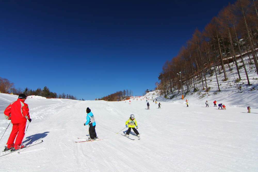 冬はスキーヤー専用のゲレンデに。スキーデビューのファミリー層にピッタリ1