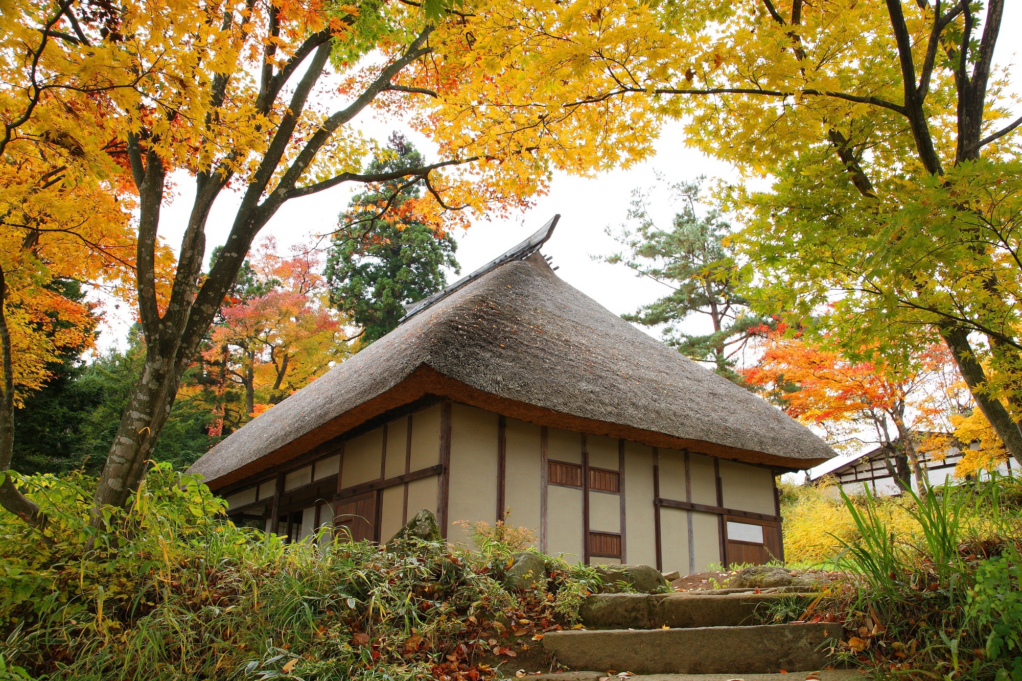 ガイドとめぐる！坐禅体験と紅葉の寺町プチトリップ