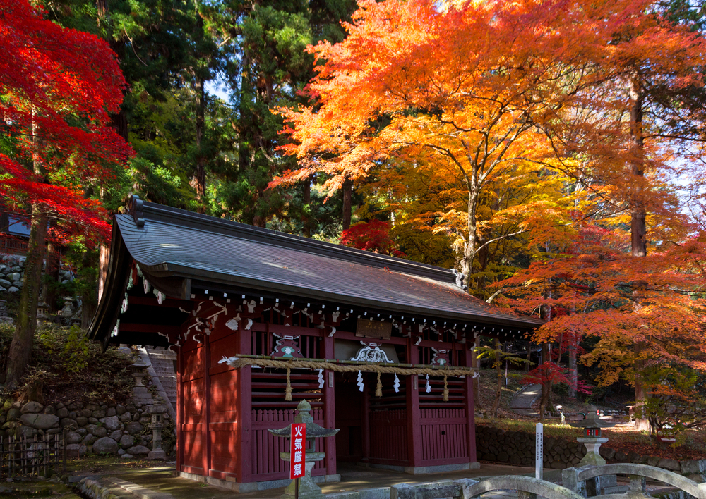 鳩ヶ嶺八幡宮