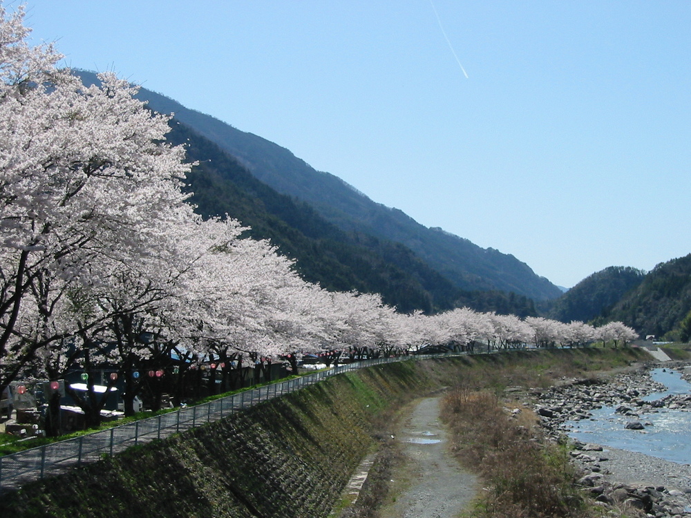 遠山桜