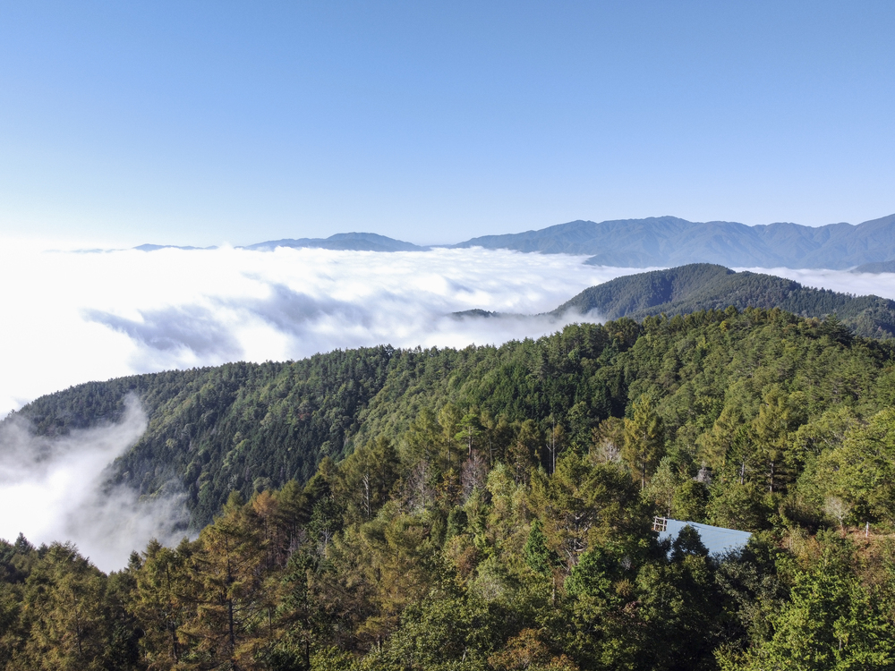 高鳥屋山